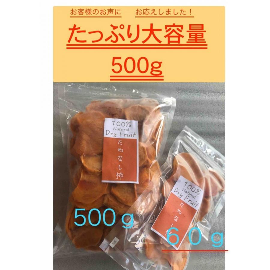 歌山県産 たねなし柿使用 ドライフルーツ 500g国産 無添加 砂糖不使用 柿チップ 送料無料