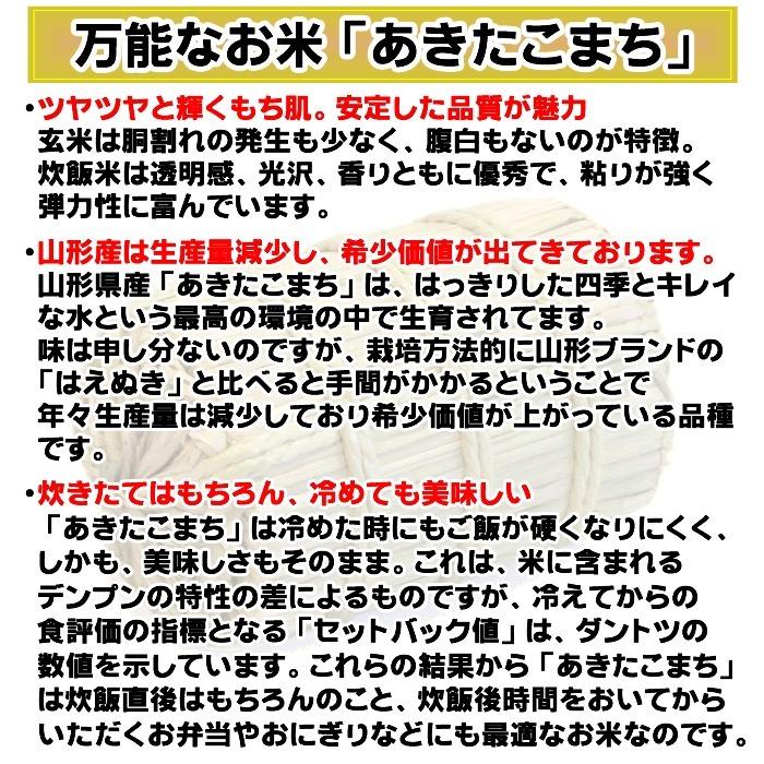 新米 ポイント消化 お米 送料無料 あきたこまち 150g (1合) 令和5年産 山形県産 白米 無洗米 分づき 玄米 当日精米 真空パック メール便 450円 ゆうパケ