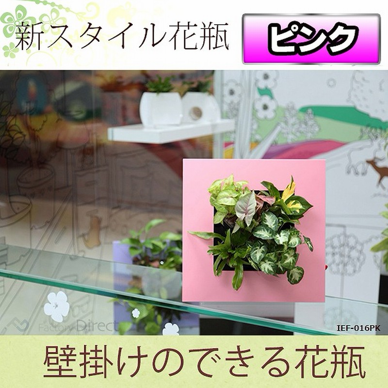 Ief 016pk ピンクカラー スタイリッシュ壁掛け花瓶スタンド Newライフスタイル 手作り品 インテリア 花瓶 おしゃれ 観葉植物 多肉植物 水耕栽培 フラワーベース フラワー シンプル ウォールグリーン 壁飾り 壁 飾り 通販 Lineポイント最大5 0 Get Lineショッピング