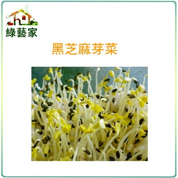 【綠藝家】大包裝J14黑芝麻芽種子120克