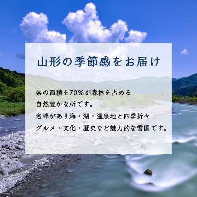 ふるさと納税 山形県 里芋　山形県　5kg