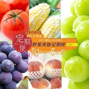 ふるさと納税 2024年発送　市川三郷町の旬をお届け！野菜果物定期便[5839-1981] 山梨県市川三郷町