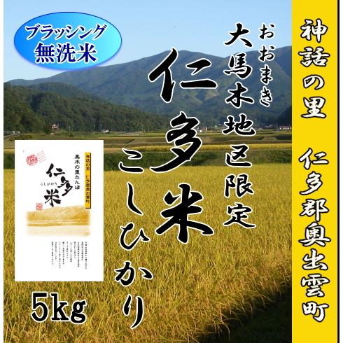 令和5年産　無洗米5kg　仁多米こしひかり　大馬木地区限定　1等米