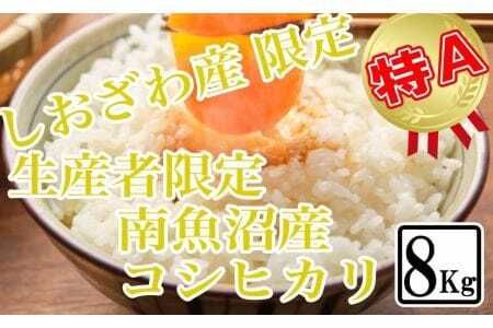 しおざわ産限定 生産者限定 南魚沼産コシヒカリ