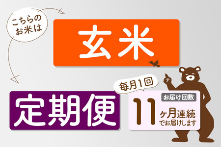 《定期便11ヶ月》＜新米＞秋田県産 あきたこまち 2kg(2kg小分け袋) 令和5年産 配送時期選べる 隔月お届けOK お米 おおもり