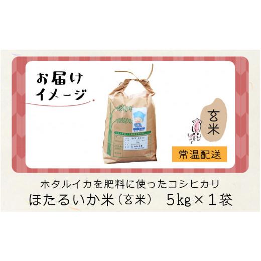 ふるさと納税 富山県 滑川市 ほたるいか米（新米／玄米５kg）