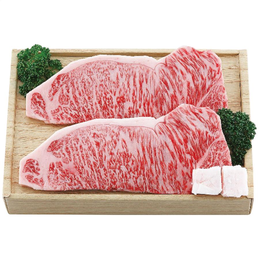 飛騨牛サーロインステーキ用 3枚 6278-040 和牛 国産牛 160g×3枚 ステーキ肉 国産 ステーキセット 冷凍 牛肉 グルメ ギフト セット お中元 お歳暮 278 送料無料