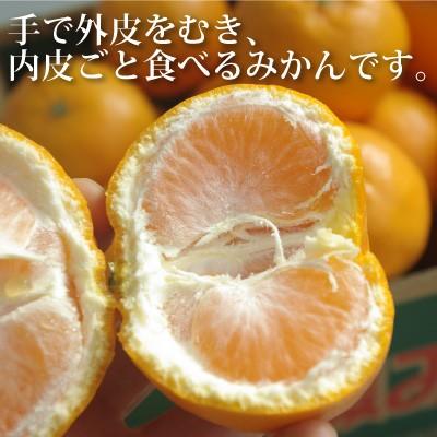 12月14日前後入荷　愛媛産 はれひめ 5kg