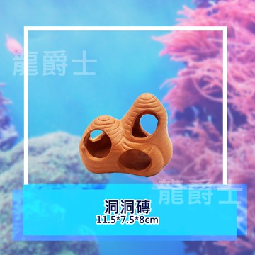 ✨現貨✨[龍爵士水族]洞洞磚 造景裝飾 裝飾品 造景 擺飾 飾品 擺件 魚缸造景 魚缸擺飾 魚躲藏    Z15