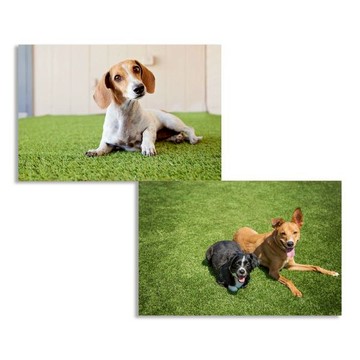 Meric Garden 超仿真休閒草皮地100*100(4入/組)