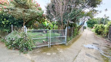 新社東興國小方正小農場｜台中市新社區水底寮段上水底寮小段