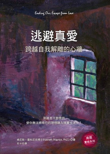 逃避真愛：跨越自我解離的心牆【二手書_良好】TAAZE讀冊生活