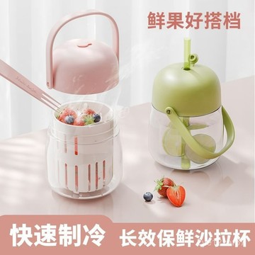 ⚡在臺出⚡便攜沙拉果蔬杯自帶叉子內置冰盒外帶可瀝水沙拉痠奶杯早餐杯 FRSD