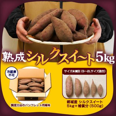 ふるさと納税 都城市 山下農園の熟成シルクスイート 5kg