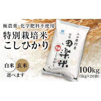 ふるさと納税 山口市 「田楽米」コシヒカリ100kg≪エコやまぐち50認証取得≫ A-008