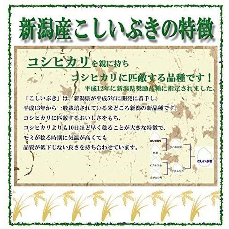 新米 精白米 25kg 令和4年産 新潟県産 こしいぶき 安心安全な特別栽培米 (5kg×5)