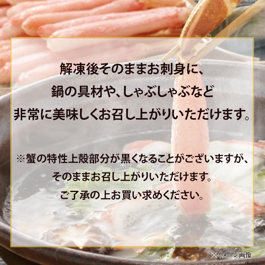 送料無料 新鮮だから生食も可能 本ズワイガニ しゃぶしゃぶ用 3L 25本入で500g かに 蟹 カニ 鍋 しゃぶしゃぶ 刺身 生 安