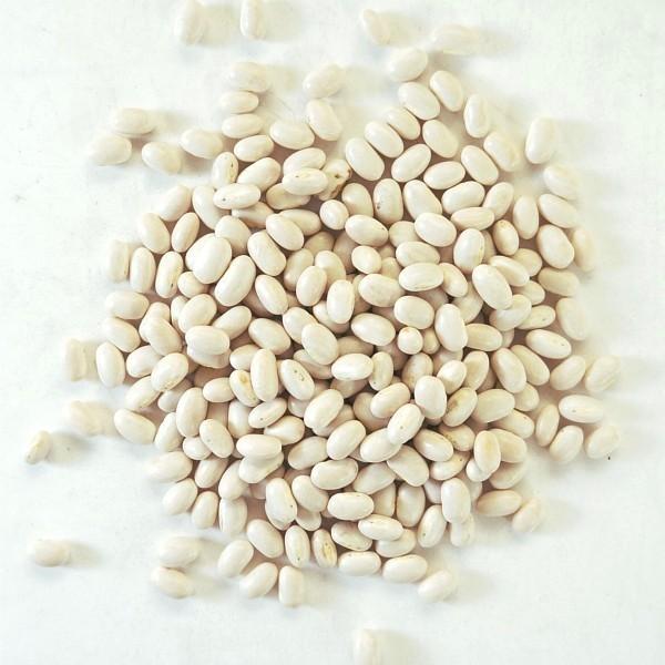 北海道産 大手亡豆 30kg   業務用サイズ