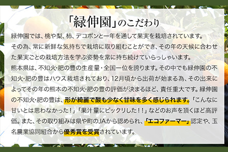 『緑伸園』の不知火・肥の豊 約5kg あのデコポンと同品種《12月中旬-1月下旬より順次出荷》