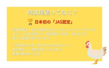 絶品！阿波尾鶏の焼き鳥串（40本）と手羽元１kgセット