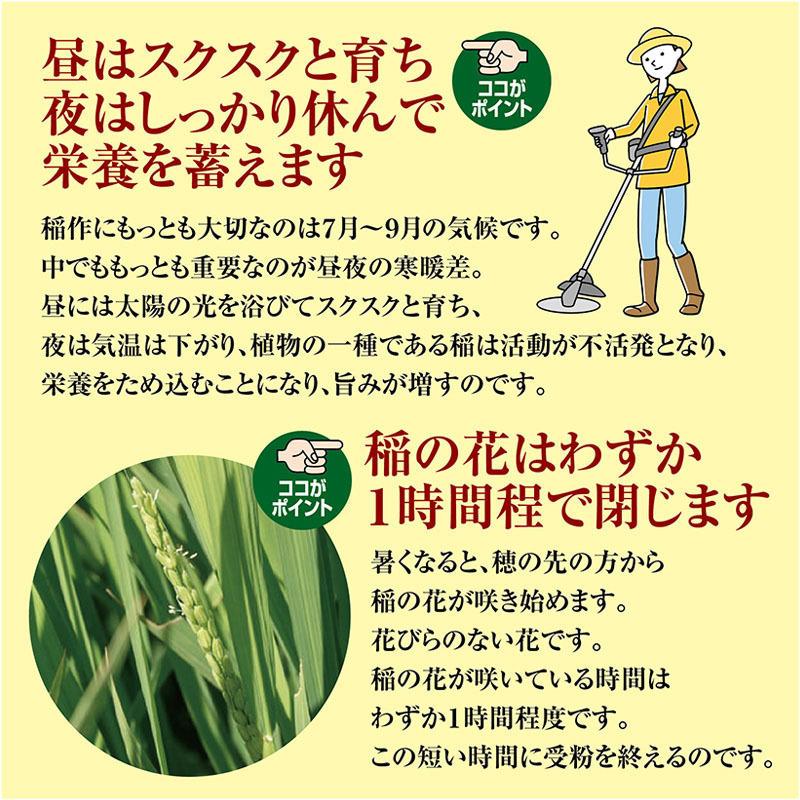 令和５年産 つや姫１０kg（５kg×２袋）山形県の米どころ庄内平野で育った庄内米 送料無料