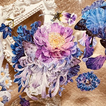 密語蝴蝶花 (Secret Language Butterfly Flower)