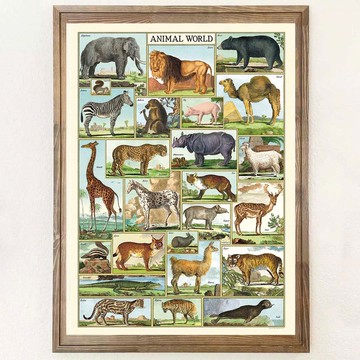 Cavallini & Co.  海報\包裝紙 動物系列(多款)