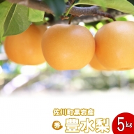 豊水梨（約５kg）