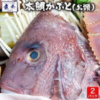 愛媛県宇和島産 養殖 特大鯛かぶと 2パック 送料無料 お頭 たい タイ あら 煮つけ 鯛めし