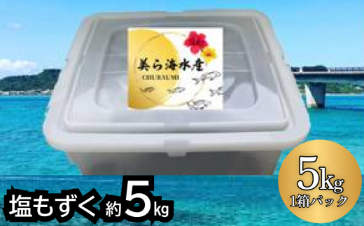 塩もずく（約5kg）