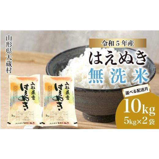 ふるさと納税 山形県 大蔵村 令和5年産 大蔵村 はえぬき  10kg （5kg×2袋）