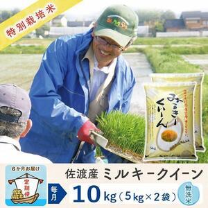 ふるさと納税  佐渡島産ミルキークイーン 無洗米10Kg 特別栽培米 新潟県佐渡市