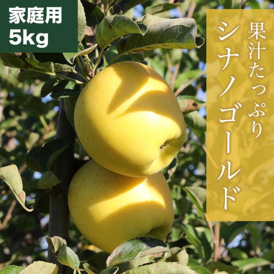 RED APPLE シナノゴールド 家庭用 約5kg りんご 林檎 果物 フルーツ ギフト 旬