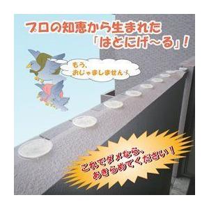 浩生 ハト駆除会社が使っている はとにげ~る