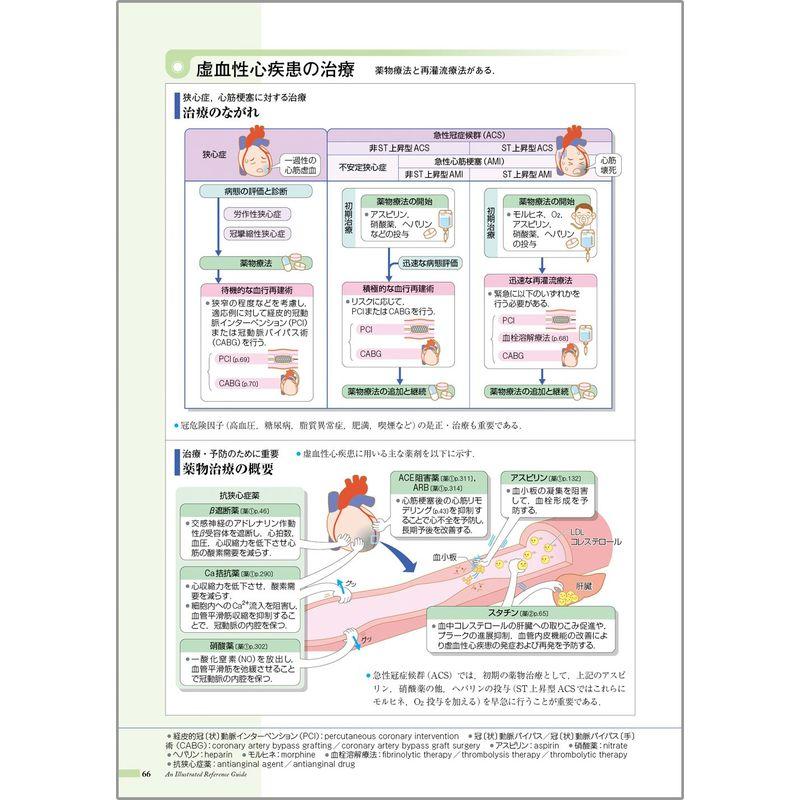 病気がみえるvol.2循環器