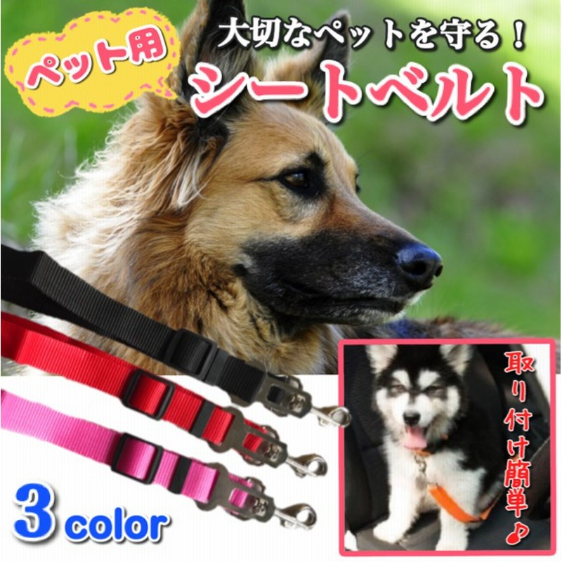 ぺット用 シートベルト 犬 車 飛び出し 守る シート ベルト 中型犬 小型犬 猫 安全 ひも ニャンコ ワンコ くるま ベルト 犬 安全紐 ペット 安全グッズ Dog Seatbe 送料無料 通販 Lineポイント最大1 0 Get Lineショッピング