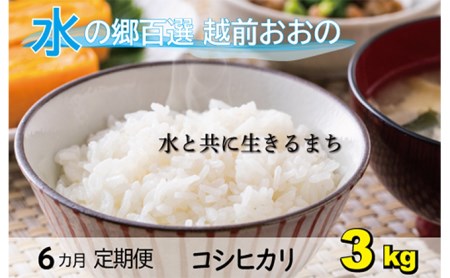 こしひかり 3kg×6回 計18kg「エコファーマー米」水のまちのお米 [B-003003]