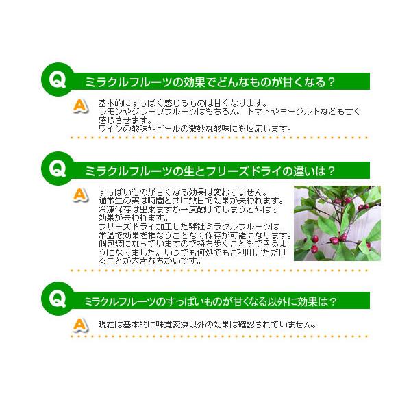 ミラクルフルーツ お試し5粒入り メール便 送料無料