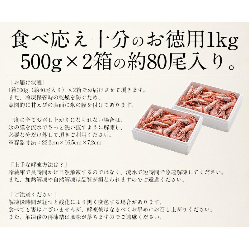 甘エビ 甘えび 子持ち 1kg（500g×2箱）約80尾入り 刺身用 越前産 甘えび 海老 えび エビ 贈り物 お祝い プレゼント ギフト 冬グルメ 冬ギフト