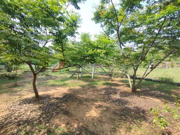 沙鹿區×犁份東段｜臨15米路×都計內農地｜台中市沙鹿區犁份東段