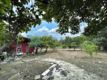 關西正台三線大面寬農牧用地+交通用地｜新竹縣關西鎮新城