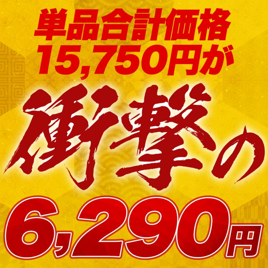 2023年 松屋のてんこもり福袋！9種30食入り 冷凍食品 保存食 一人暮らし 牛丼 まつや