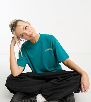 Dickies cave junction panther back print t-shirt in teal exclusive to asos-Blue