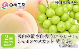 桃 ぶどう 2024年 先行予約 清水 白桃 1.5kg シャインマスカット 晴王 2房 1房550g以上 2回に分けてお届け！ もも 葡萄 定期便 岡山 国産 フルーツ 果物 ギフト 桃茂実苑