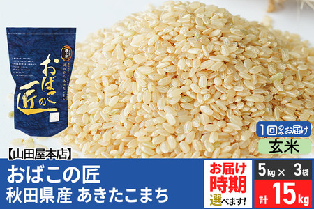 令和5年産 おばこの匠 秋田県産あきたこまち 15kg（5kg×3袋）秋田こまち お米 配送時期選べる