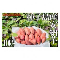 種子島産安納芋 10kg