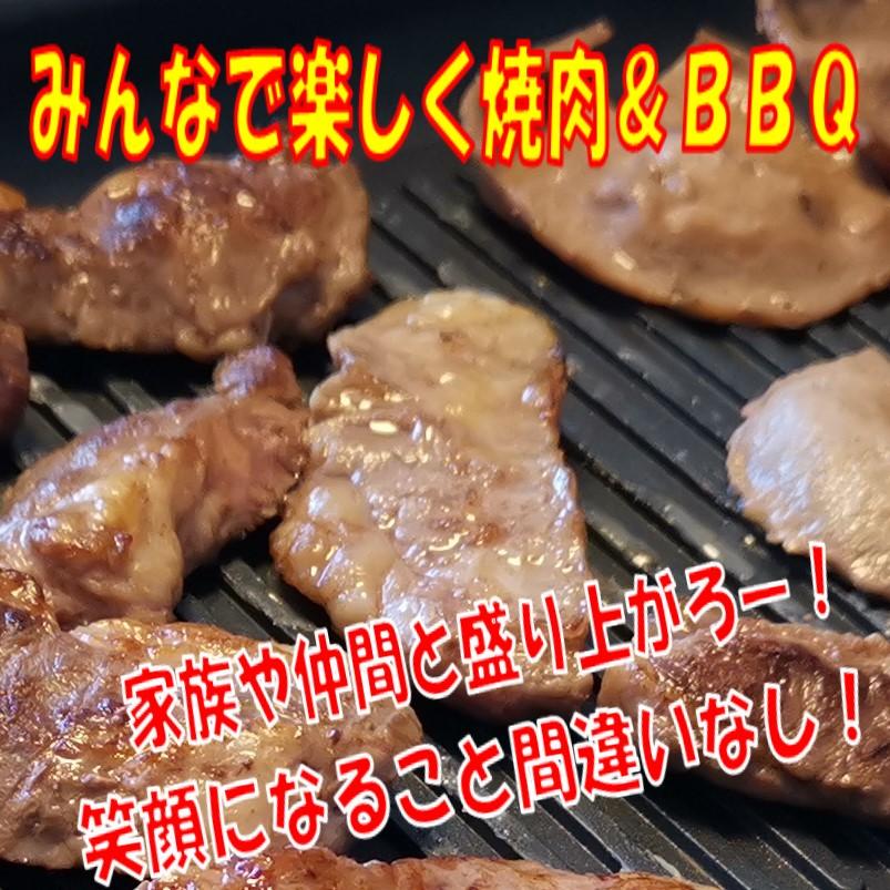 肉 バーベキュー 食材 牛肉 焼肉セット バーベキュー肉 ハラミ BBQ 肉 カルビ バラ バーベキューセット食材 BBQ食材セット 焼肉 2.3kg 6〜8人前