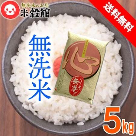 米 5kg 送料無料 九州産 「心」こころ 5kg×1個 無洗米 令和4年産