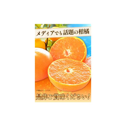 ふるさと納税 和歌山県 日高川町 一度は食べていただきたい! 有田産のせとか 青秀以上 約4〜5kg （サイズおまかせ） 厳選館 《2024年2月下旬-4月上旬頃より順…