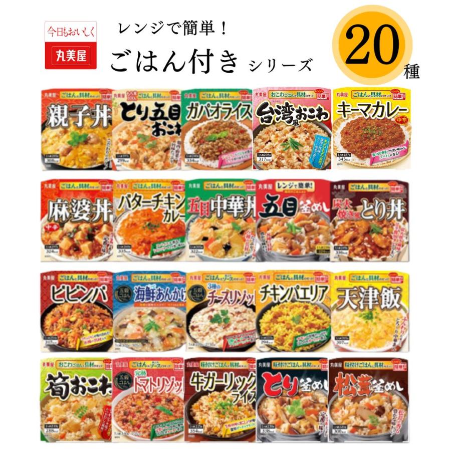 レトルト食品 詰め合わせ 常温保存 惣菜 丸美屋 ごはん付き 20種 レトルトご飯